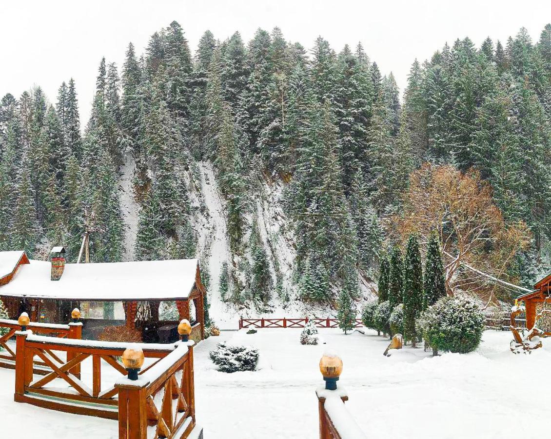 Forest House تاتاريف المظهر الخارجي الصورة