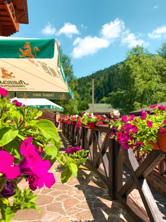 Forest House تاتاريف المظهر الخارجي الصورة