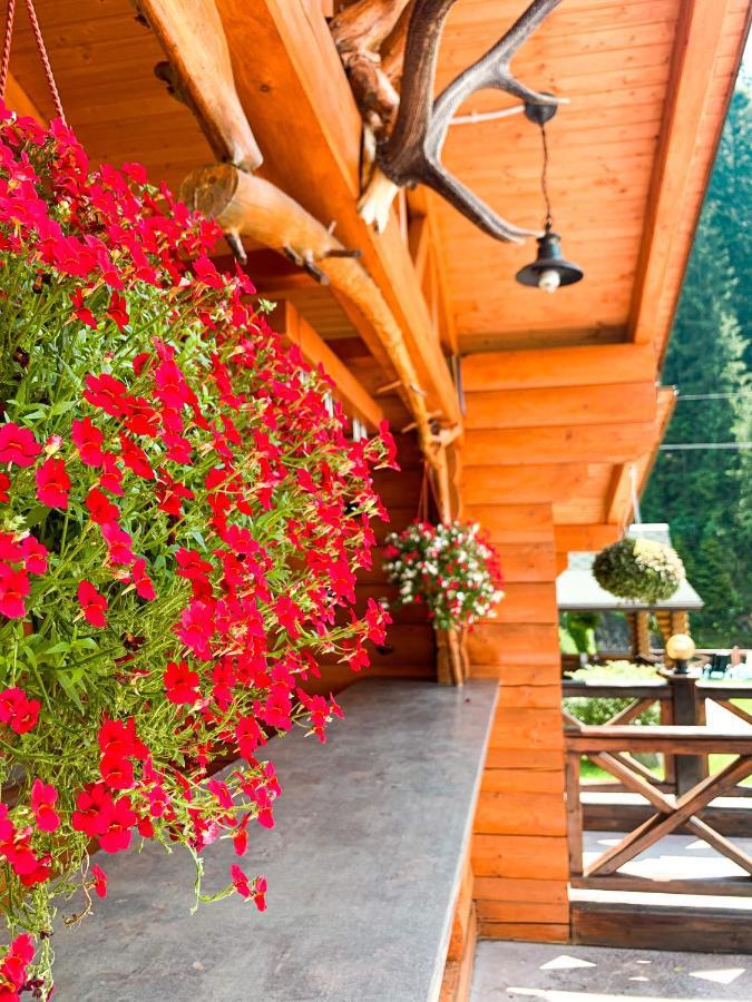 Forest House تاتاريف المظهر الخارجي الصورة